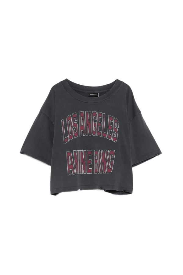 Anine Bing T-Shirt - Grey/Red