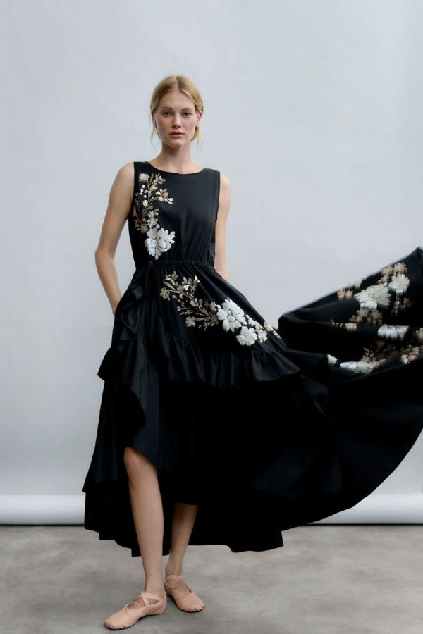 Psophia Embroidered Poplin Dress