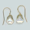 Danielle Welmond Jewelry Pentagon Drop Earrings - Thumbnail 1