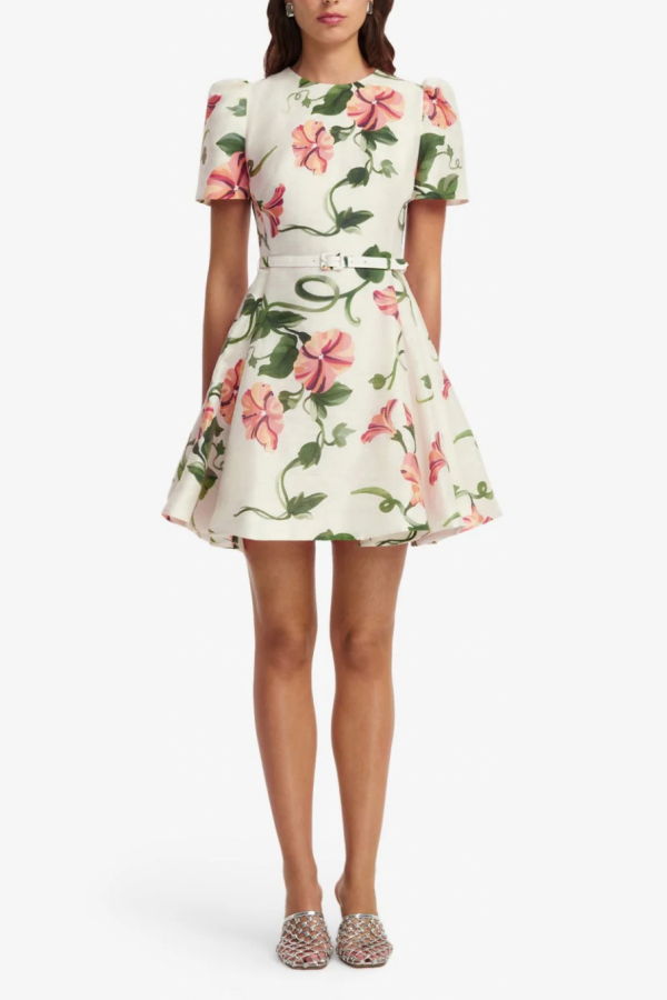 Leo Lin Elyse Short Sleeve Mini Dress - Vine Print In Snow