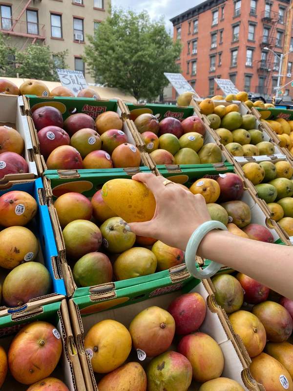 Seree Tennis Opaque Jade Stone Bangle