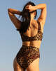 Fenntessa Calypso Bikini Top - Cheetah - Thumbnail 3