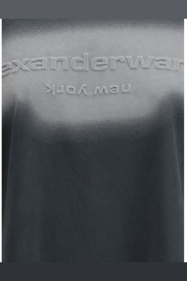 ALEXANDER WANG Sweater - Gray