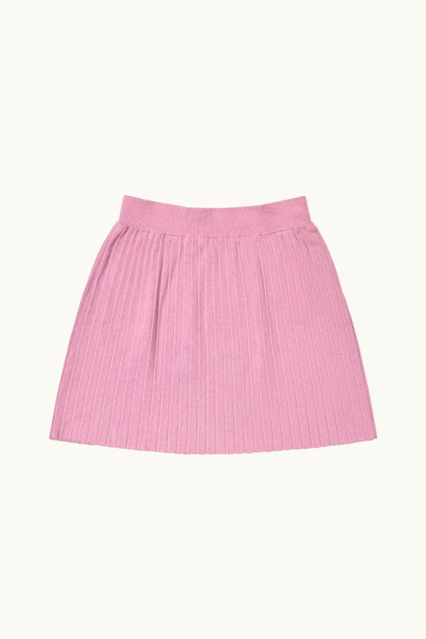 Ali Golden Pleated Mini Skirt - Pink