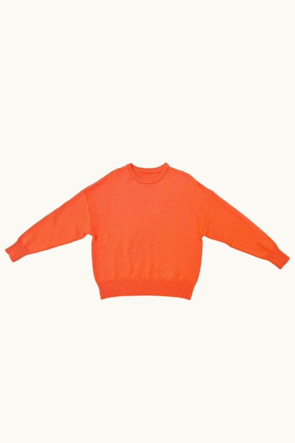 Ali Golden Chunky Cotton Pullover Sweater - Neon