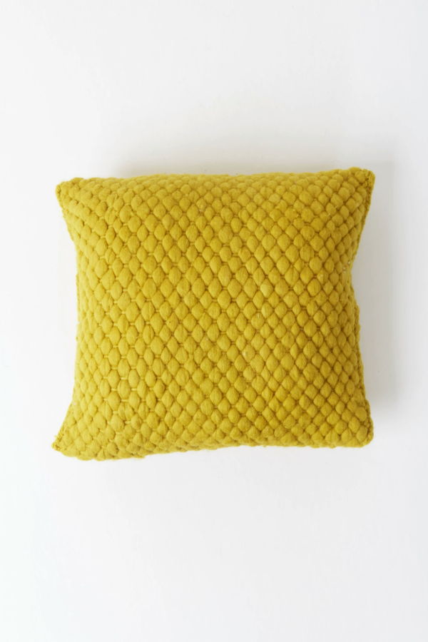 Andes Puna Cushion