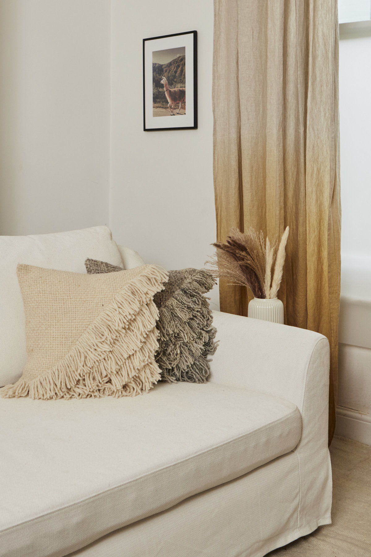 Andes Quebrada Cushion With Fringes Cushion - Image 3 of 3