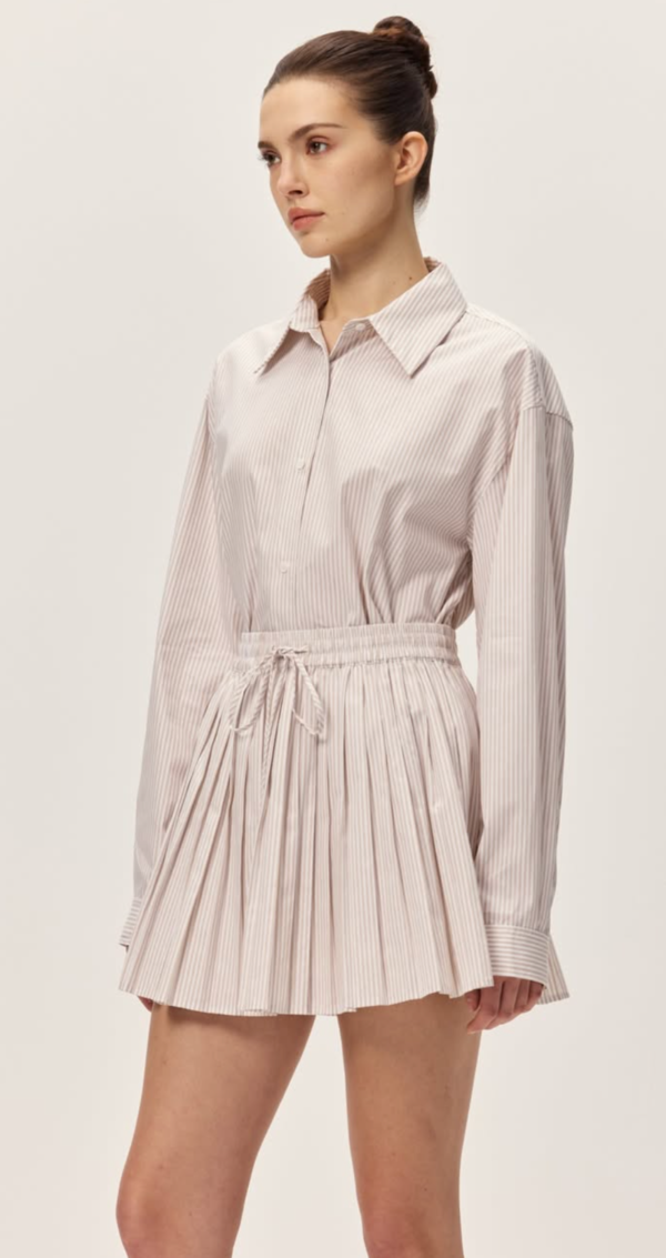 elodie Danika Mini Skirt - Taupe Striped