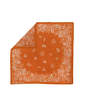 Not specified Cotton Field Bandana Terra Bandana - Thumbnail 1