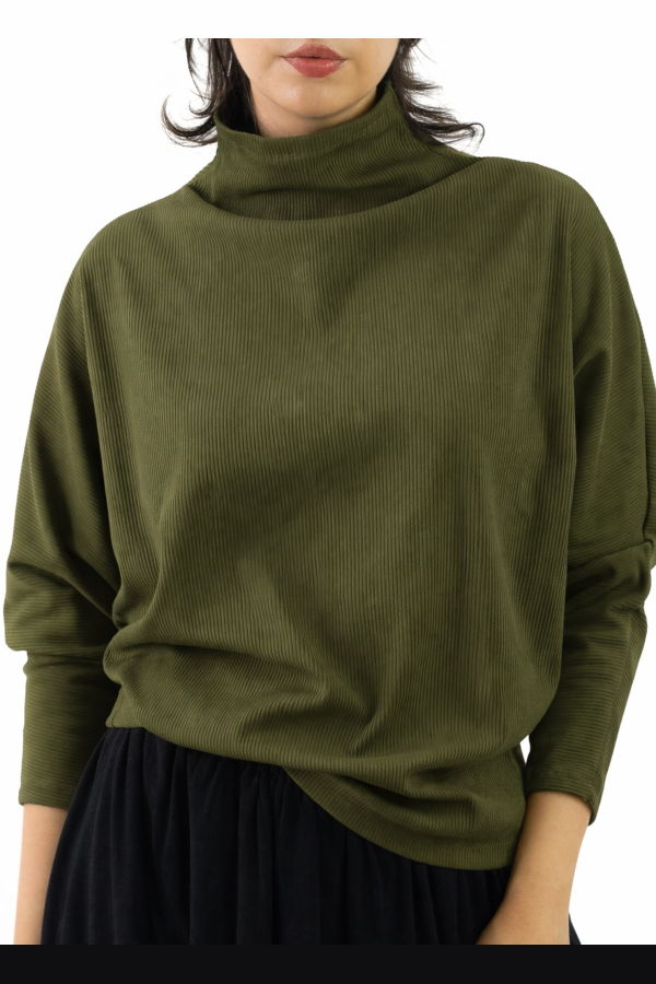 Meg Batwing Skinny Top