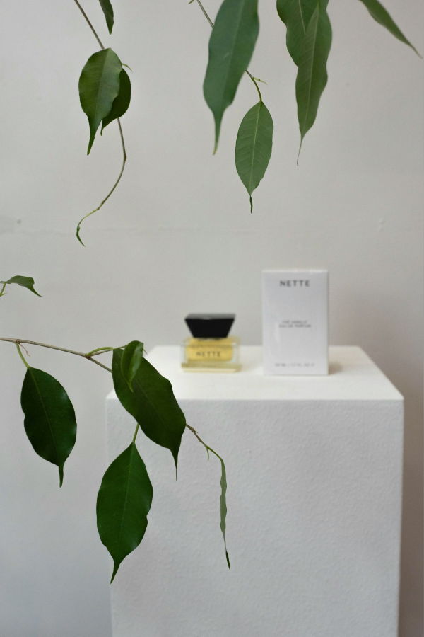 Nette The Vanilla Eau de Parfum Perfume