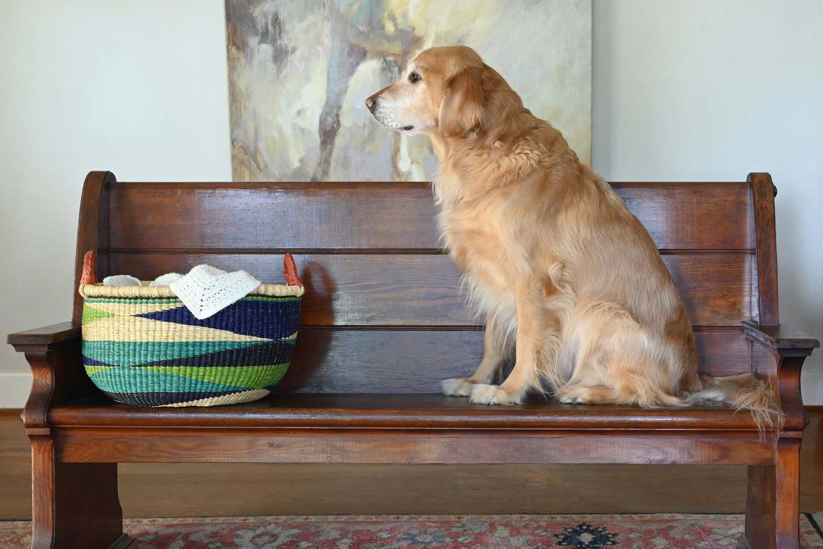 African Modern Shades of Blue Triangle Design Bolga Basket with Leather Handles - Image 2 of 4