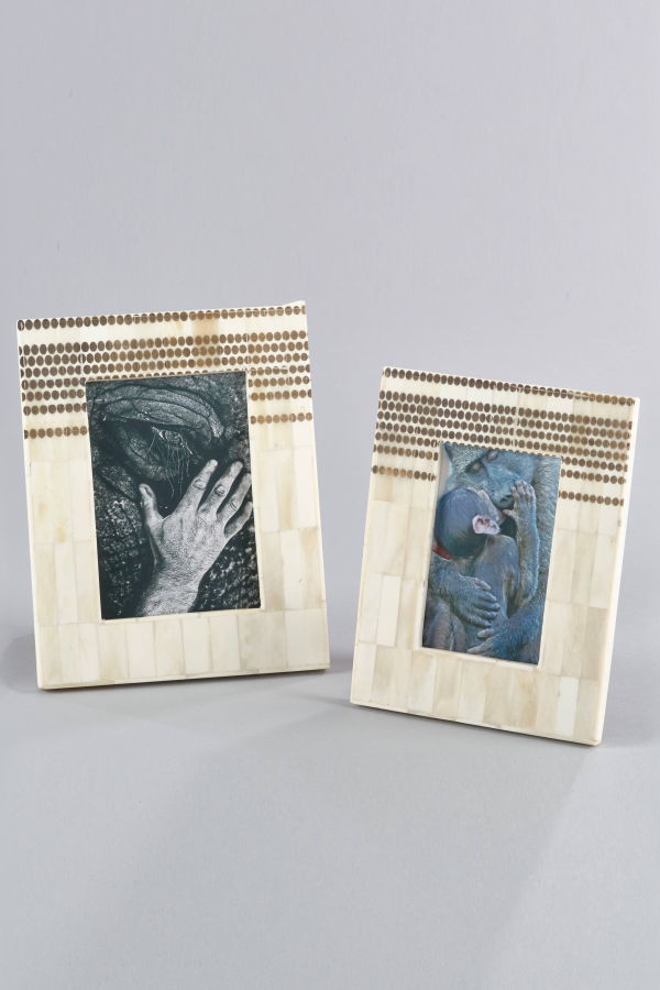 Saro Lifestyle Dotted Bone Photo Frame - Ivory