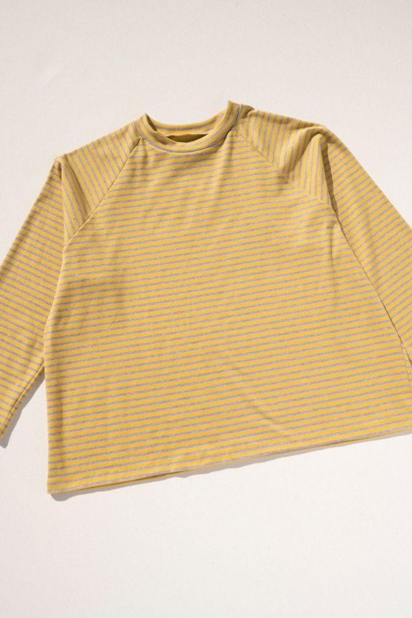 Carleen Boxy Raglan Top