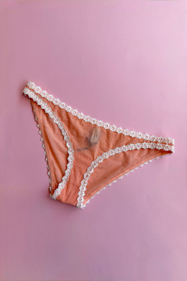 Yasmine Eslami Tamara Flower Mesh Lace Panty - Orange Blossom