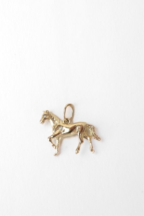 bruce Eugenie x Fire Horse Charm