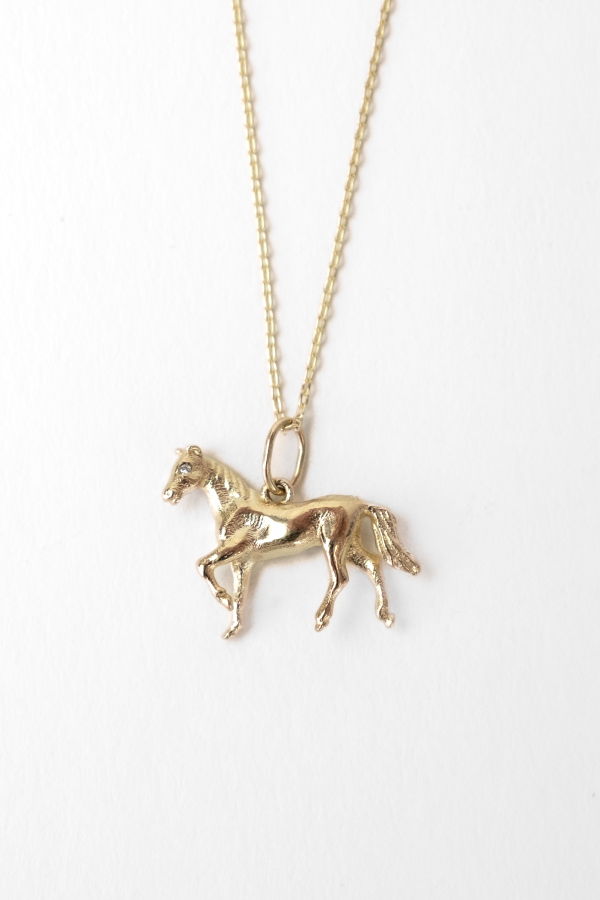 bruce Eugenie x Fire Horse Charm