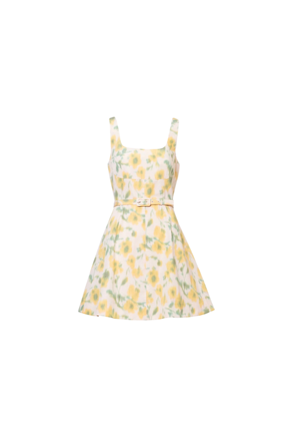 Tanya Taylor Paige Dress - Butter Multi