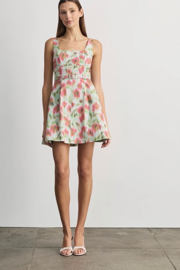 Tanya Taylor Paige Dress - Pistachio Multi