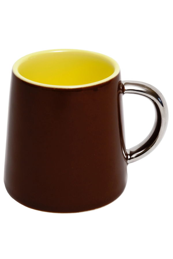 Semi-D Denali Mountain Mug