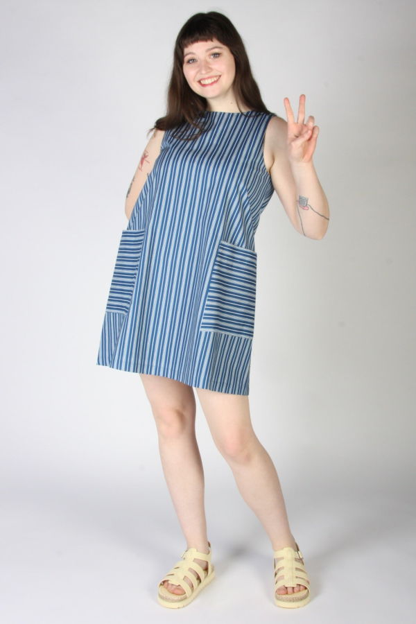 Birds of North America Redpoll Dress