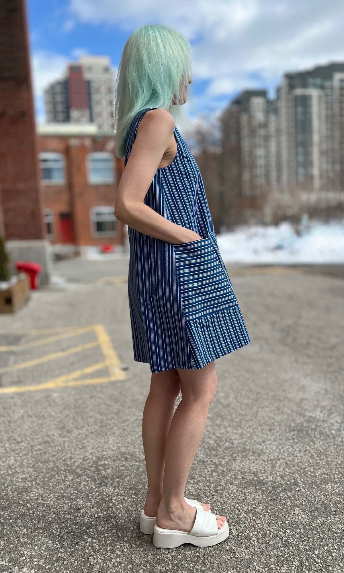 Birds of North America Redpoll Dress - Image 11 of 12