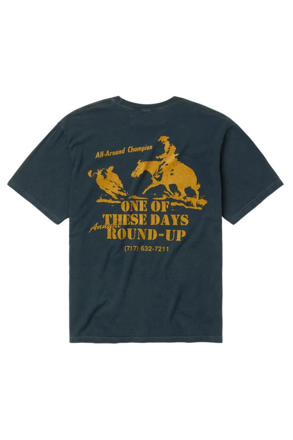 One Of These Days Round Up Tee