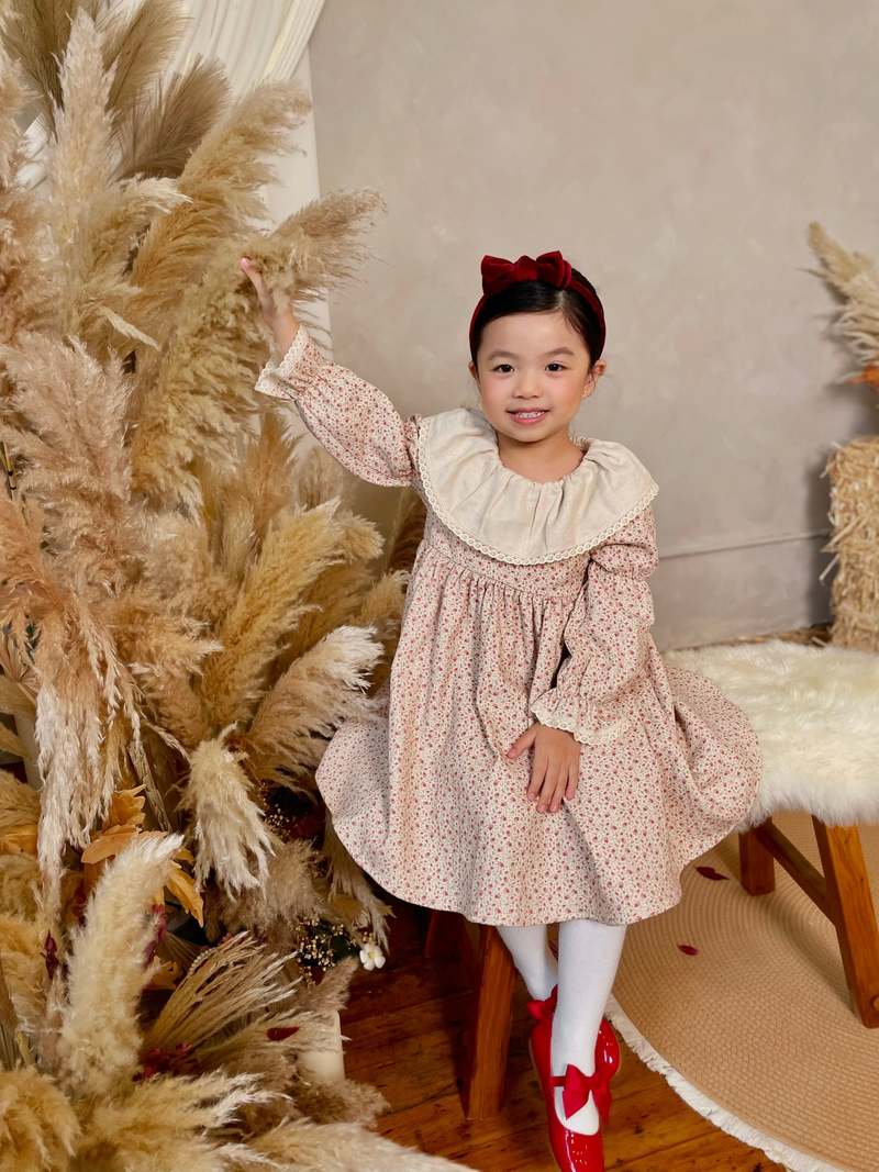 Piper&Cloth Marguerite Dress - Wild Rosebud Garden