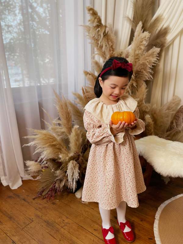 Piper&Cloth Marguerite Dress - Wild Rosebud Garden