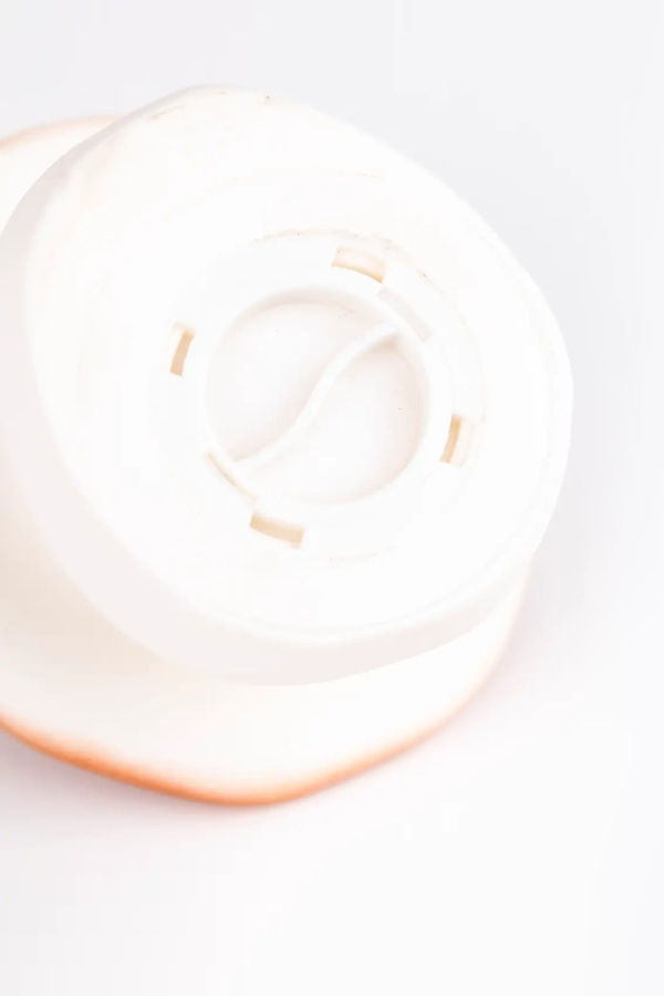 KIDS Egmont Mushroom Savings Bank