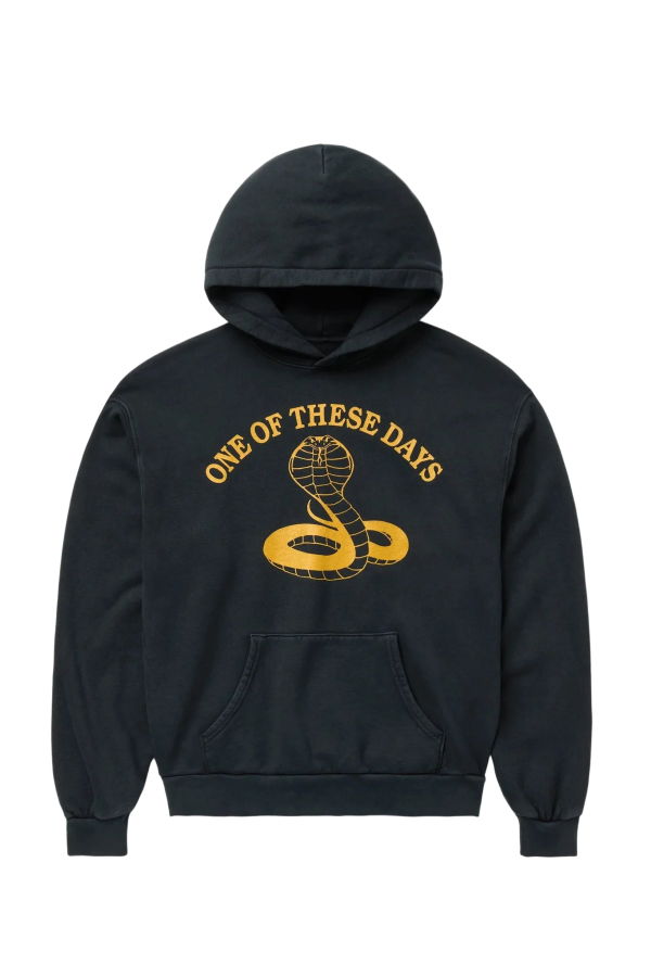 One Of These Days Cobra Hoodie