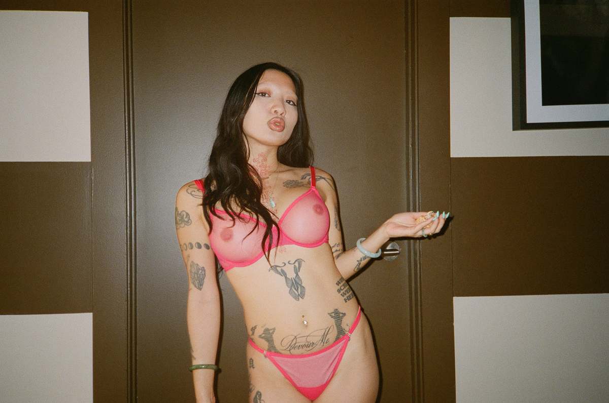 Yasmine Eslami Jeanne Mesh Underwire Bra - Indian Pink - Image 5 of 5