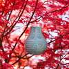 Allsop Home & Garden Soji Stella Bulb Solar Lantern - Thumbnail 3