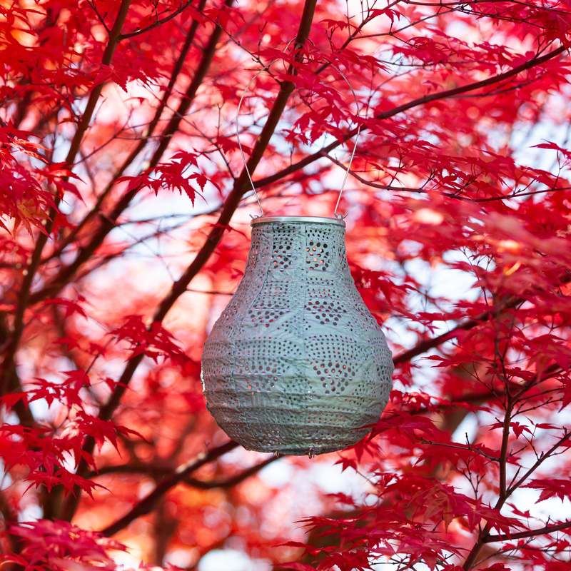 Allsop Home & Garden Soji Stella Bulb Solar Lantern