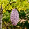 Allsop Home & Garden Soji Stella Wildflower Pod Lantern - Thumbnail 4