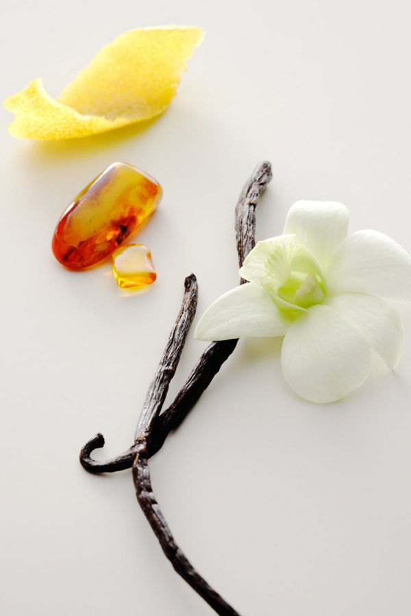 Maison Louis Marie No. 15 Vanille Infinie Perfume Oil