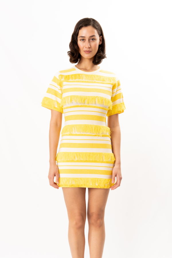 Jonathan Simkhai Torrance Knit Mini Dress - Solar Stripe