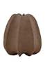 Dovetail Furniture Aritzia Ribbed Terracotta Decorative Vase - Light Brown - Thumbnail 1