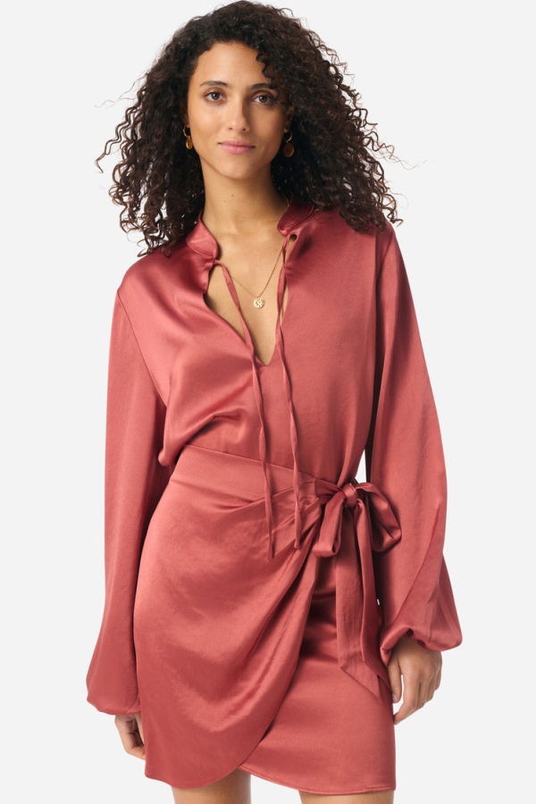 Vanessa Bruno Gloriosa Dress