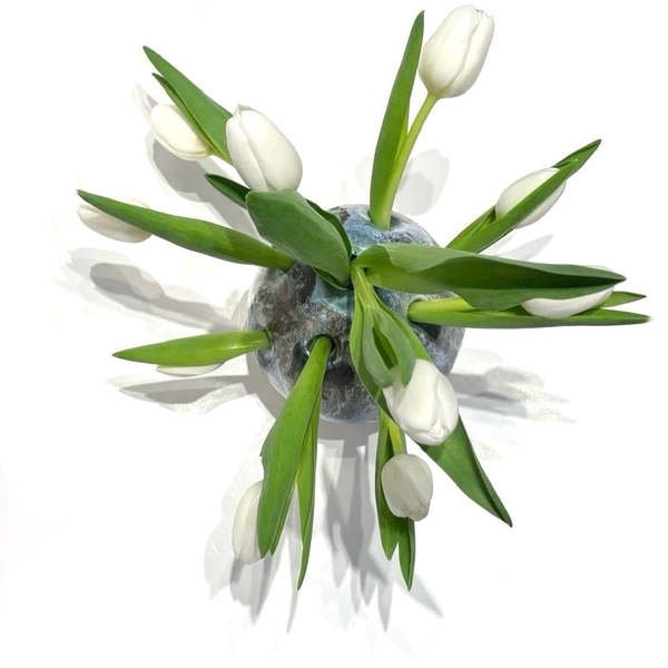 Allison Skinner Tulipiere Vase