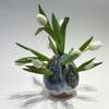 Allison Skinner Tulipiere Vase - Thumbnail 2