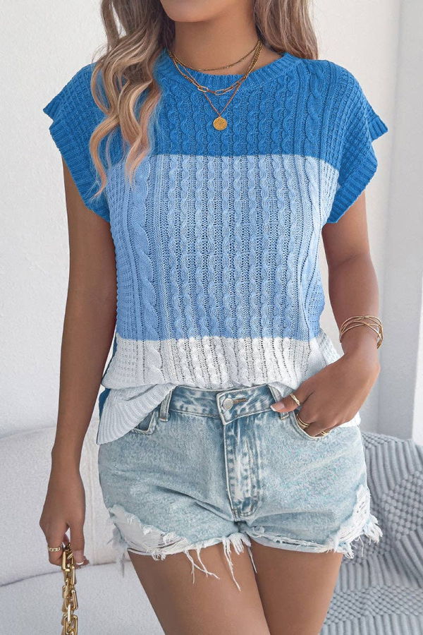 The Collective Park City Sleeveless Colorblock Knit Sweater Vest - Blue