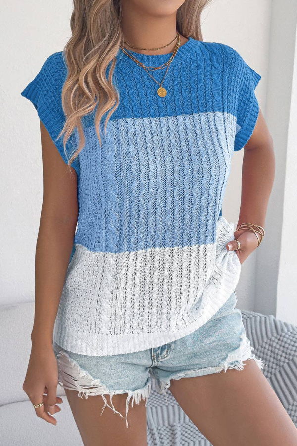 The Collective Park City Sleeveless Colorblock Knit Sweater Vest - Blue