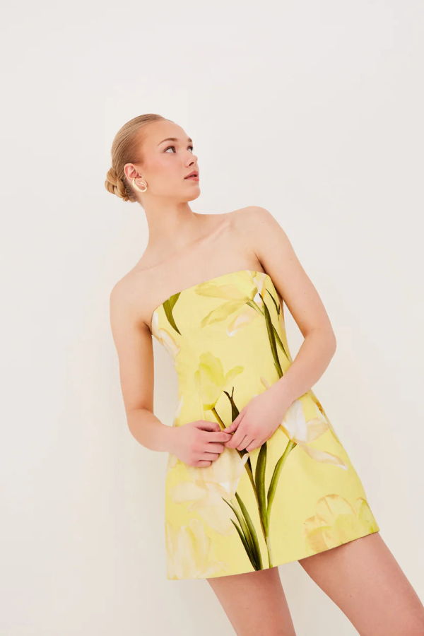 Cara Cara Ines Mini Dress - Lillian Lemon