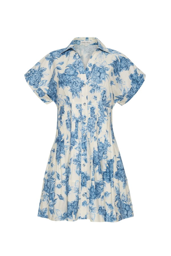 Cara Cara Nash Mini Dress - Tossed Floral Blue