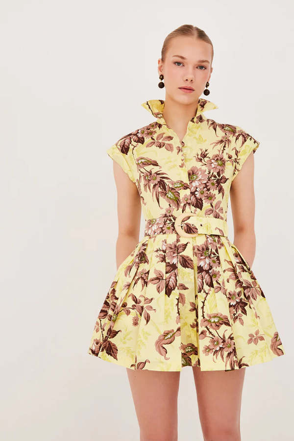 Cara Cara Octavia Mini Dress - Windsor Lemon