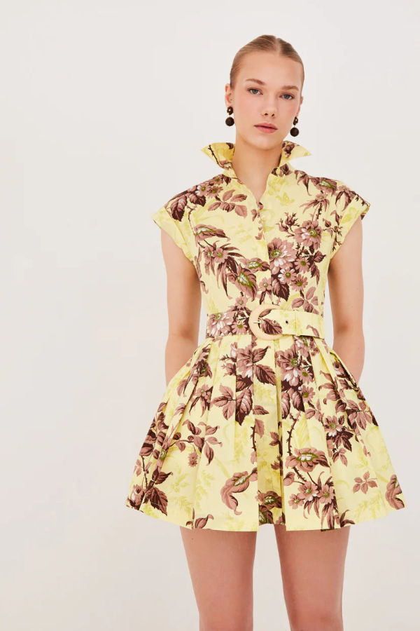 Cara Cara Octavia Mini Dress - Windsor Lemon