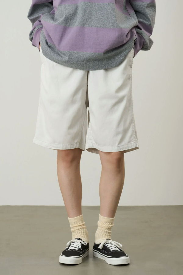 Stone Swell Short Shorts