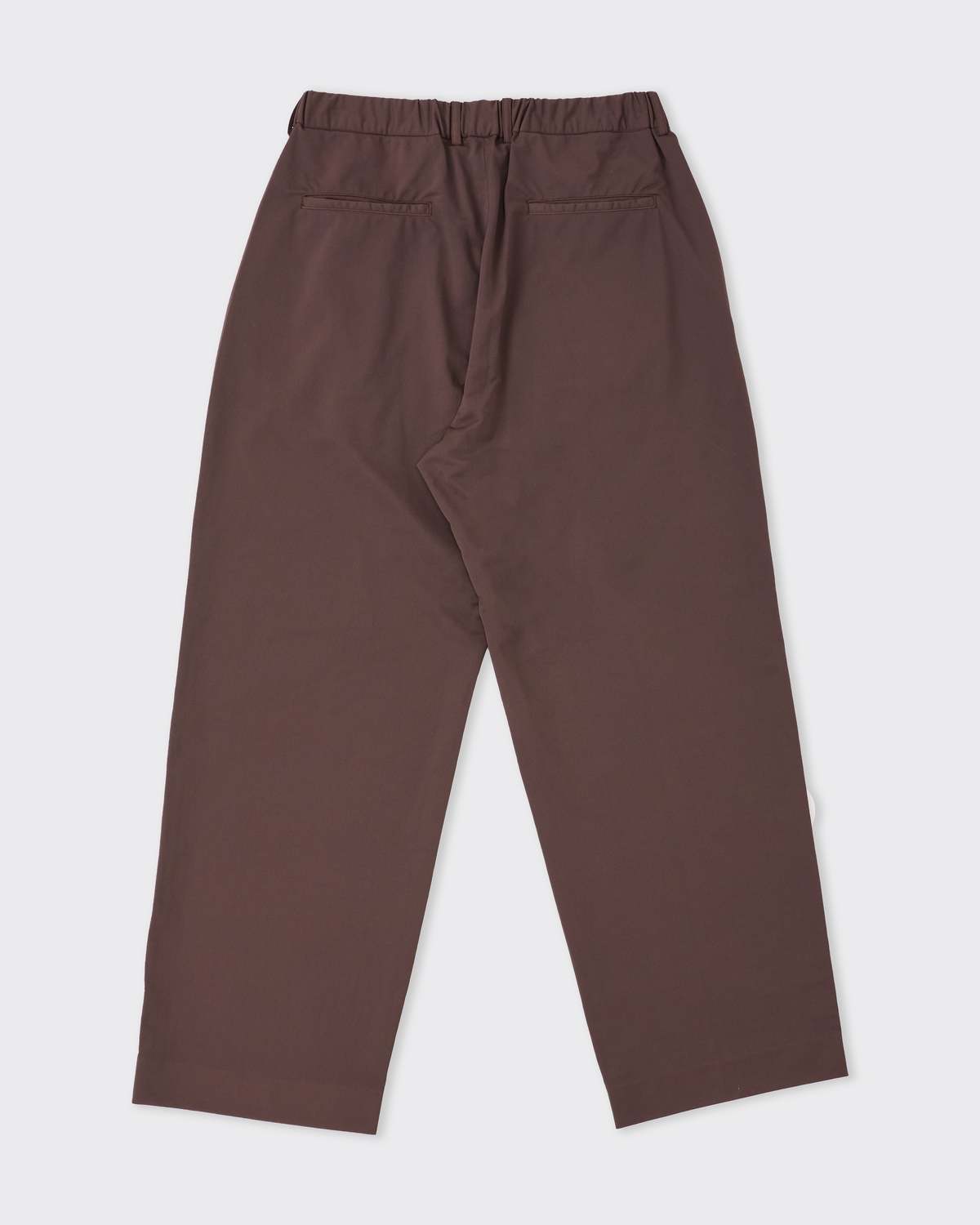 Kanemasa Phil Nylon Tuck Easy Pants, Brown Dye - Image 3 of 3