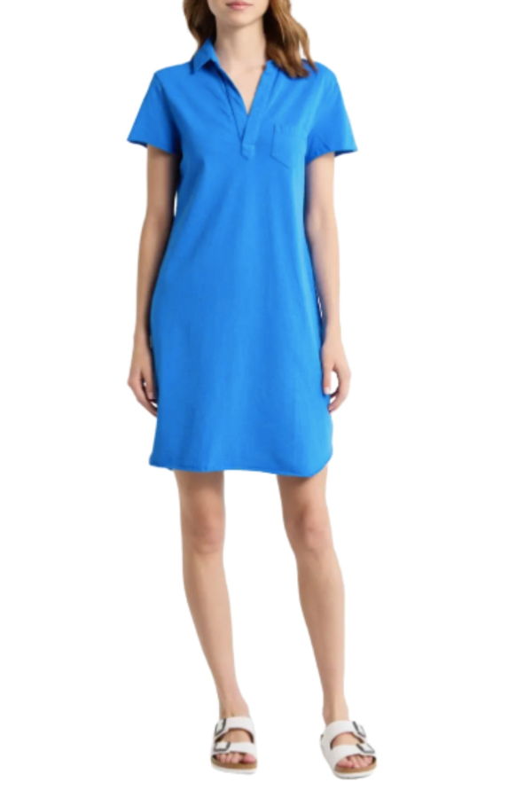 Frank & Eileen Lauren Polo Dress